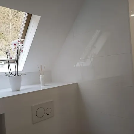 Alte Beurener Muehle 度假居